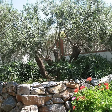 Manzanilla, Malaga Villa *