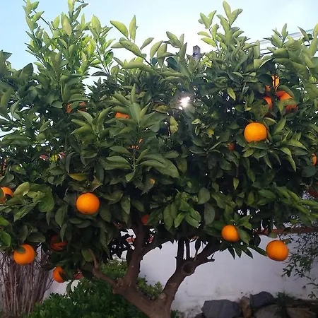 Manzanilla, Malaga Villa